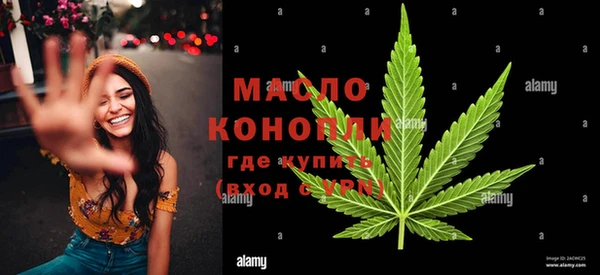 ECSTASY Бородино