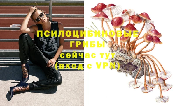 ECSTASY Бородино