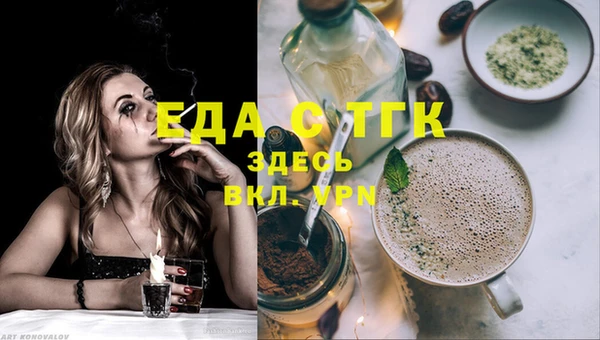 ECSTASY Бородино